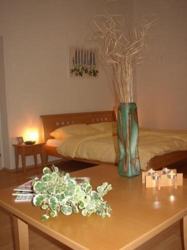 Hotel Zamecek Kaplice Pokój zdjęcie